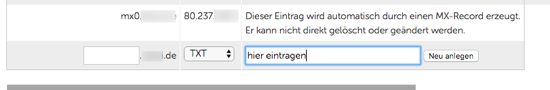 Screenshot DNS TXT-Record Eintrag