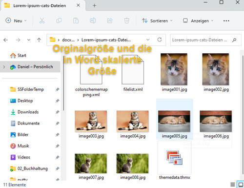 Inhalt der aller aus der Word-Datei gespeicherten Bilddateien in einem Ordner