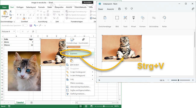 Screenshot Bild in Excel-Datei kopieren und dann in Paint eingefügt