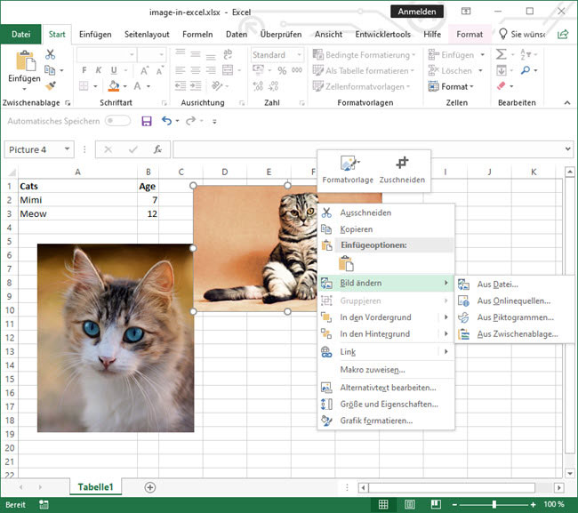 Screenshot Excel-Dokument: keine Möglichkeit das eingefügte Bild direkt zu speichern