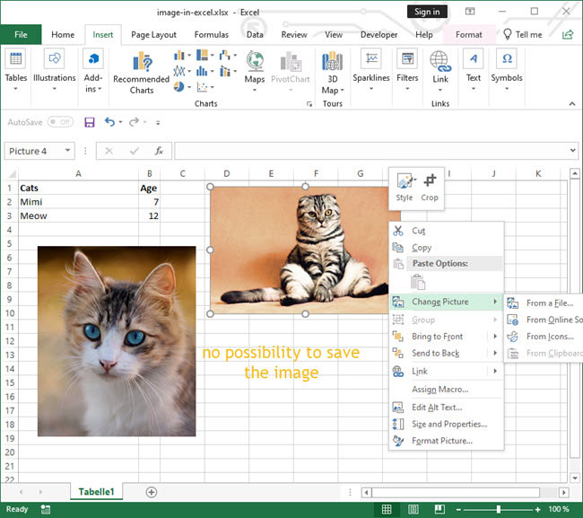 Capture d'écran document Excel : pas de possibilité d'enregistrer directement l'image insérée