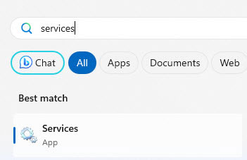 Screenshot Windows Search Services