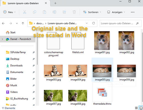 Contents of all image files saved from the Word file in a folder