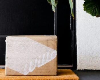 Ein Paketkarton steht auf dem Boden einer Wohnung neben einer Zimmerpflanze