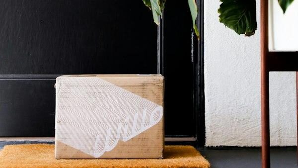 Ein Paketkarton steht auf dem Boden einer Wohnung neben einer Zimmerpflanze